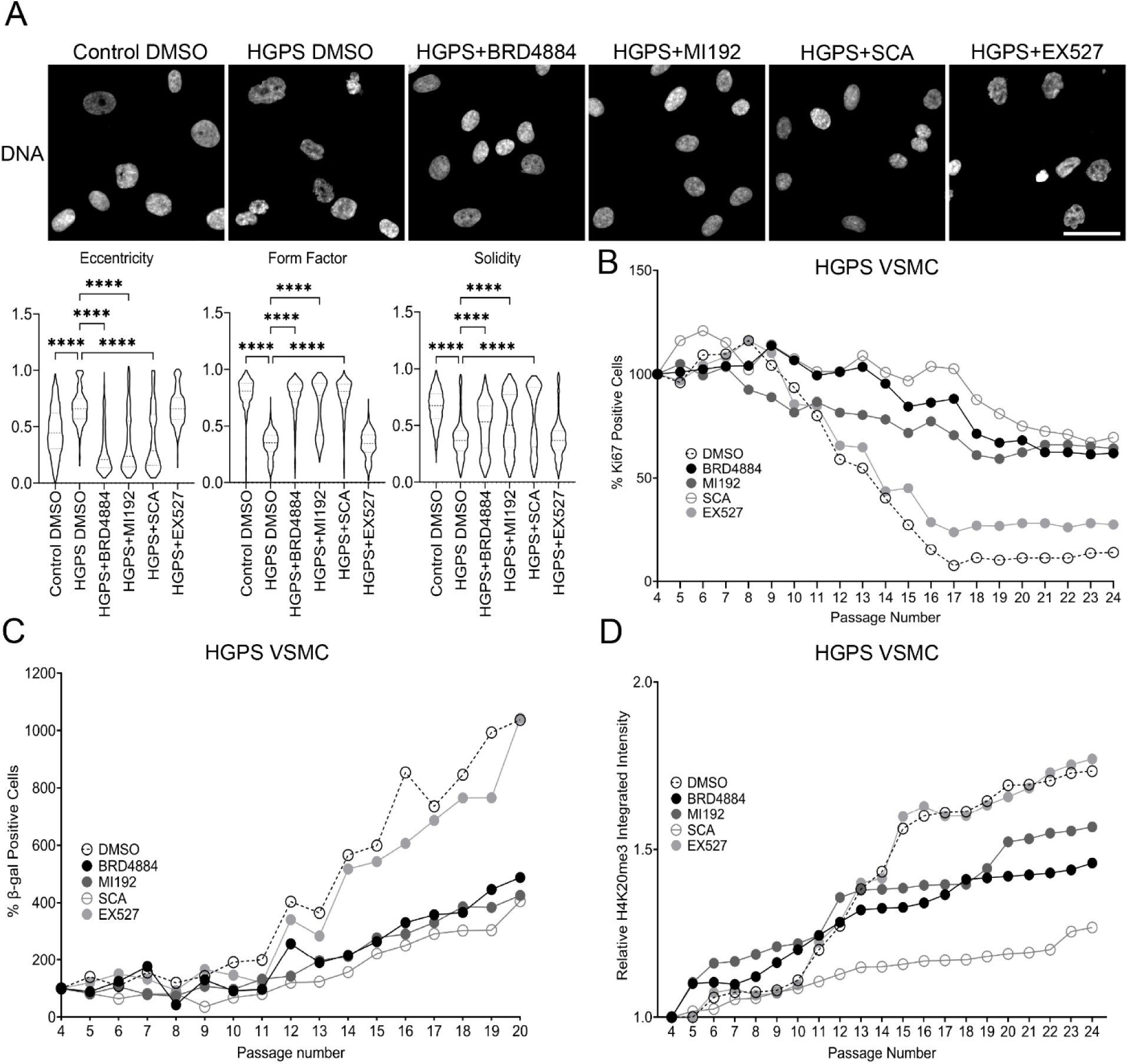 bioRxiv 2025 - HDAC2 Inhibition in Progeria